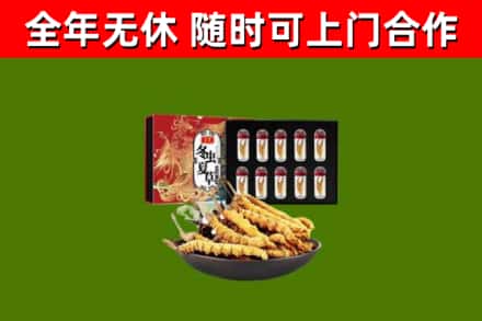 南山区回收冬虫夏草价格